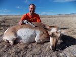 14 Carl 2014 Antelope Doe